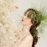 dmsgkdn12
