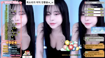 2025-06-01_03-27-46 – kkkku96 – BJ 민가유-秀人集