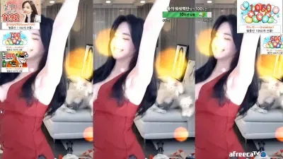 BJ DDungmi {뚱미} ~ 2NE1 Fire cover dance 2